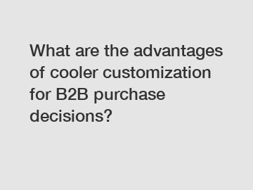 What are the advantages of cooler customization for B2B purchase decisions?