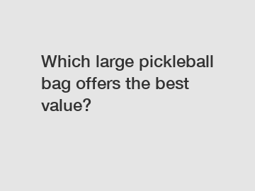 Which large pickleball bag offers the best value?