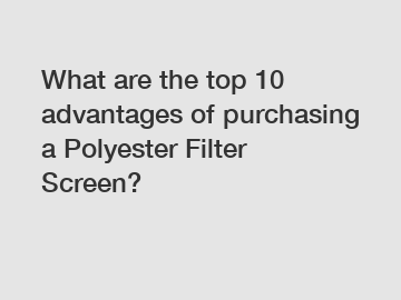 What are the top 10 advantages of purchasing a Polyester Filter Screen?