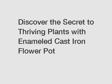 Discover the Secret to Thriving Plants with Enameled Cast Iron Flower Pot