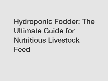 Hydroponic Fodder: The Ultimate Guide for Nutritious Livestock Feed