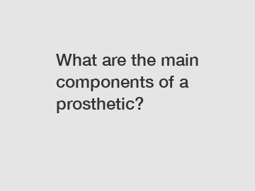 What are the main components of a prosthetic?