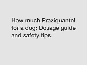 How much Praziquantel for a dog: Dosage guide and safety tips