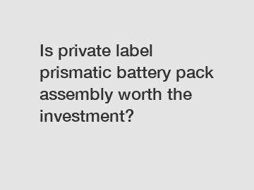 Is private label prismatic battery pack assembly worth the investment?