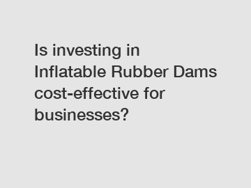 Is investing in Inflatable Rubber Dams cost-effective for businesses?