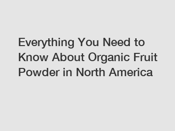 Everything You Need to Know About Organic Fruit Powder in North America