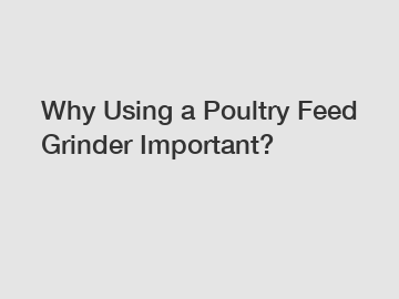 Why Using a Poultry Feed Grinder Important?