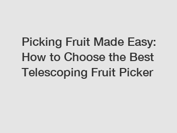 Picking Fruit Made Easy: How to Choose the Best Telescoping Fruit Picker