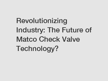 Revolutionizing Industry: The Future of Matco Check Valve Technology?