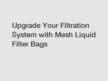 Upgrade Your Filtration System with Mesh Liquid Filter Bags