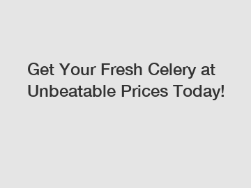 Get Your Fresh Celery at Unbeatable Prices Today!