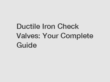 Ductile Iron Check Valves: Your Complete Guide