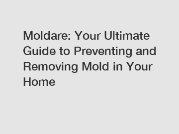 Moldare: Your Ultimate Guide to Preventing and Removing Mold in Your Home