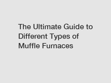 The Ultimate Guide to Different Types of Muffle Furnaces