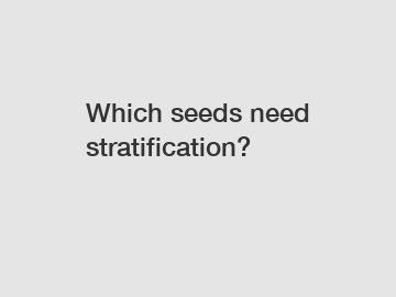 Which seeds need stratification?