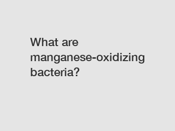 What are manganese-oxidizing bacteria?