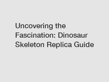 Uncovering the Fascination: Dinosaur Skeleton Replica Guide