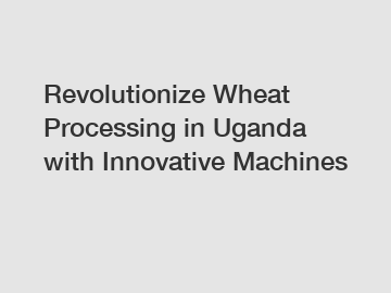 Revolutionize Wheat Processing in Uganda with Innovative Machines