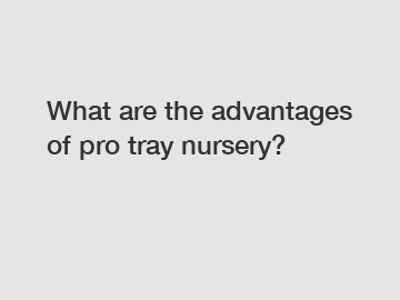 What are the advantages of pro tray nursery?