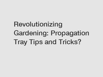 Revolutionizing Gardening: Propagation Tray Tips and Tricks?