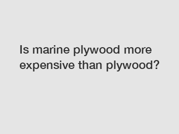 Is marine plywood more expensive than plywood?