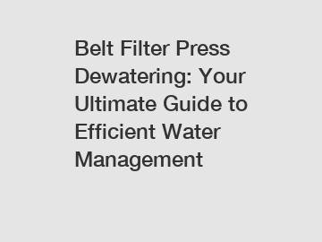 Belt Filter Press Dewatering: Your Ultimate Guide to Efficient Water Management