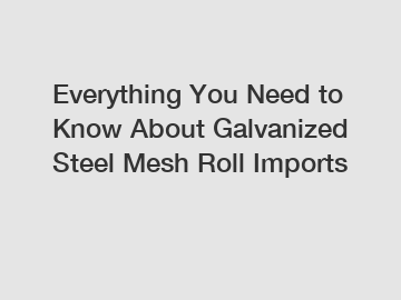 Everything You Need to Know About Galvanized Steel Mesh Roll Imports