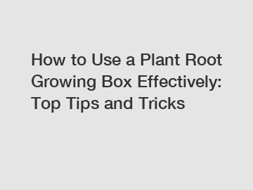 How to Use a Plant Root Growing Box Effectively: Top Tips and Tricks