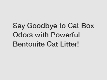 Say Goodbye to Cat Box Odors with Powerful Bentonite Cat Litter!