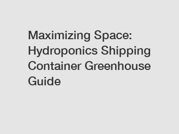 Maximizing Space: Hydroponics Shipping Container Greenhouse Guide