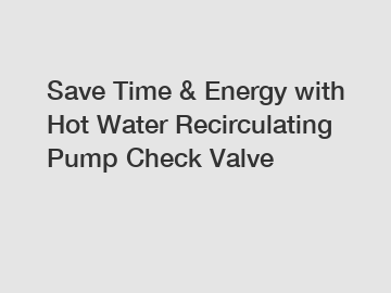 Save Time & Energy with Hot Water Recirculating Pump Check Valve