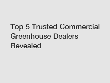 Top 5 Trusted Commercial Greenhouse Dealers Revealed