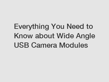 Everything You Need to Know about Wide Angle USB Camera Modules