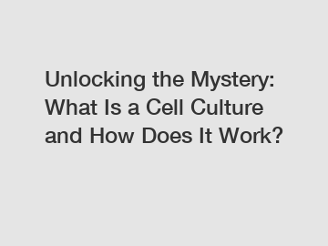 Unlocking the Mystery: What Is a Cell Culture and How Does It Work?