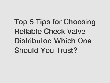 Top 5 Tips for Choosing Reliable Check Valve Distributor: Which One Should You Trust? Top 5 Tips for Choosing Reliable Check Valve Distributor: Which One Should You Trust?