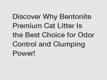 Discover Why Bentonite Premium Cat Litter Is the Best Choice for Odor Control and Clumping Power!