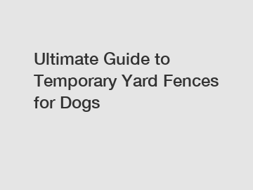 Ultimate Guide to Temporary Yard Fences for Dogs