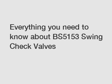Everything you need to know about BS5153 Swing Check Valves