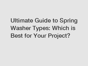 Ultimate Guide to Spring Washer Types: Which is Best for Your Project?