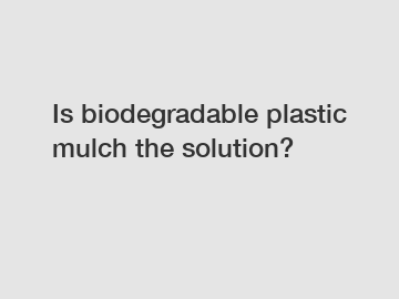 Is biodegradable plastic mulch the solution?