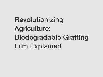 Revolutionizing Agriculture: Biodegradable Grafting Film Explained