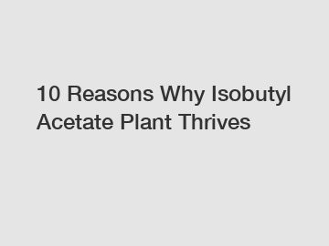 10 Reasons Why Isobutyl Acetate Plant Thrives