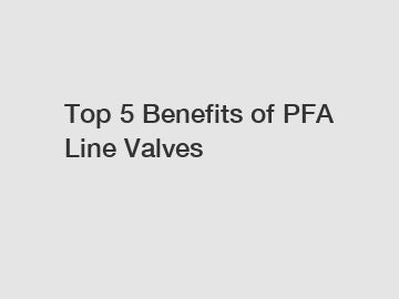 Top 5 Benefits of PFA Line Valves