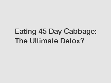 Eating 45 Day Cabbage: The Ultimate Detox?