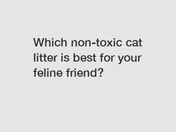 Which non-toxic cat litter is best for your feline friend?