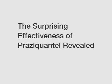 The Surprising Effectiveness of Praziquantel Revealed