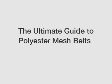 The Ultimate Guide to Polyester Mesh Belts