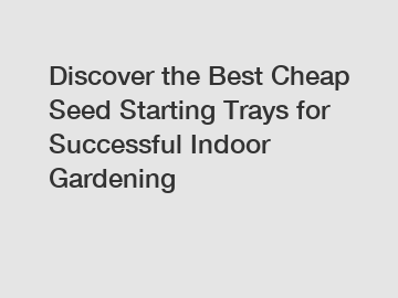 Discover the Best Cheap Seed Starting Trays for Successful Indoor Gardening