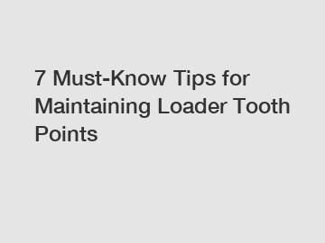 7 Must-Know Tips for Maintaining Loader Tooth Points