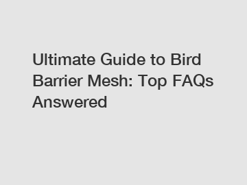 Ultimate Guide to Bird Barrier Mesh: Top FAQs Answered